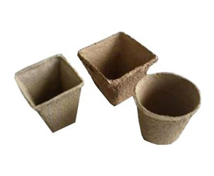 環(huán)保紙托(2)